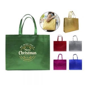 Bolsa termosellada de Non Woven metalizado de 105 g, cuenta con 2 asas. Peso máximo de carga de 11 kg