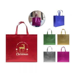 Bolsa termosellada de Non Woven metalizado de 105 g, cuenta con 2 asas. Peso máximo de carga de 10 kg.
