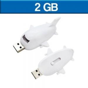 USB AVION 2GB